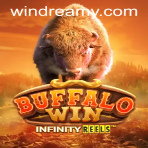 BuffaloWin: The Thrilling Journey with WINDREAM